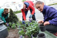 Sadzenie kwiatów w rejonie Zielonej Bramy Starówki w Toruniu