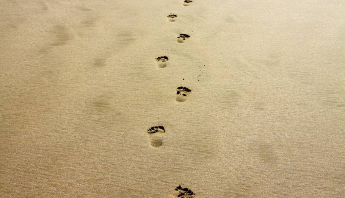 footprint-1021452_1280
