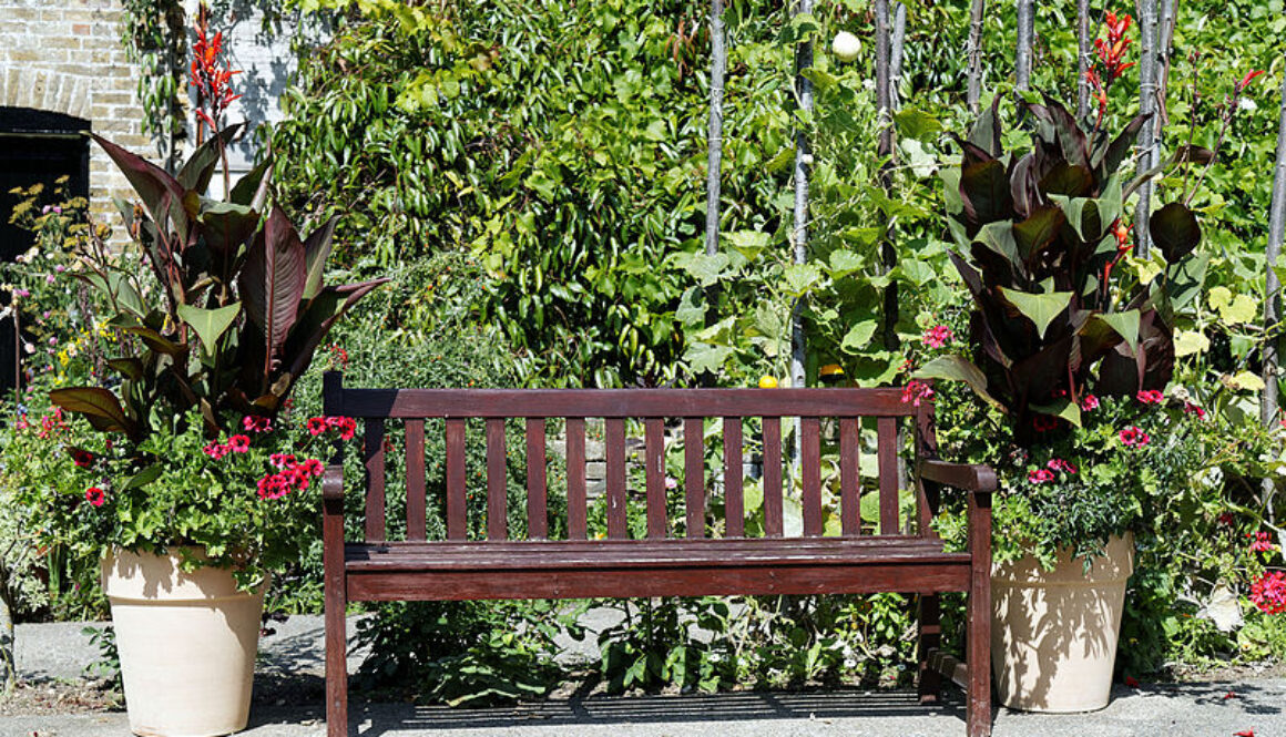 Bench_and_canna_potted_plants_Quex_House_Birchington_Kent_England