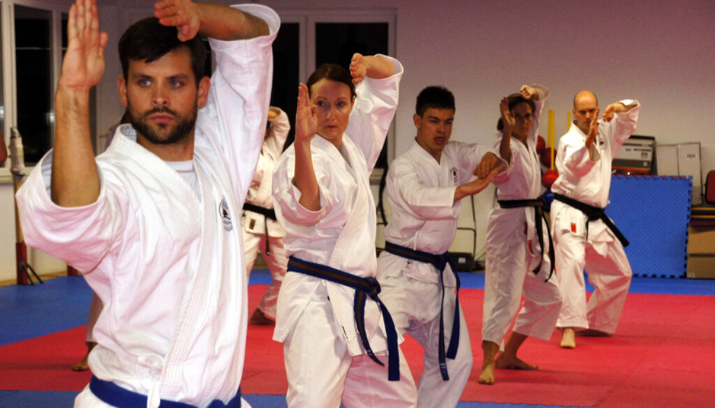 karate-class-spracticing-stances_800