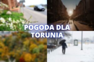 pogoda-dla-torunia_banner
