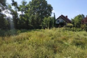 Teren niezagospodarowanej zieleni przy ul. Narcyzowej/Zagonowej na Wrzosach w Toruniu