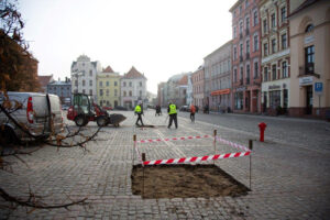 Sadzenie lip na Rynku Nowomiejskim w Toruniu