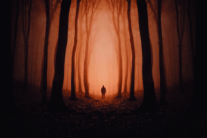 man-walking-in-surreal-mysterious-haunted-forest-w-2022-05-01-23-55-16-utc